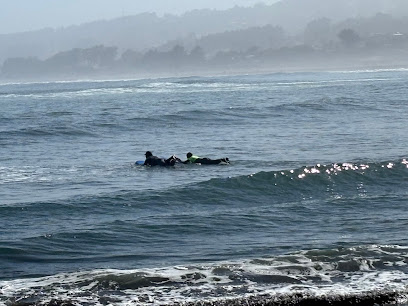 OrcaSurf Academy