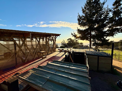 Rusty's Surf Camp