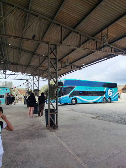 Terminal de Buses Pichilemu